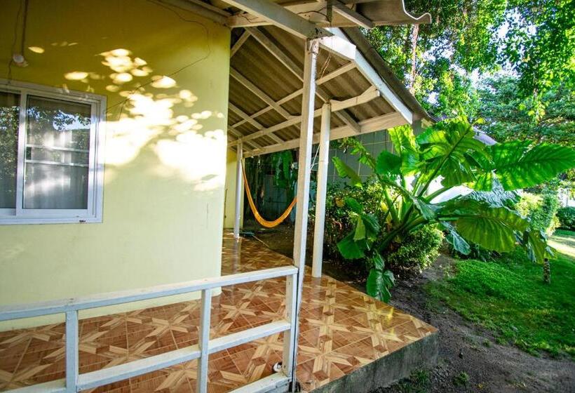 סטודיו סטנדרט עם מרפסת, Colorful Hut