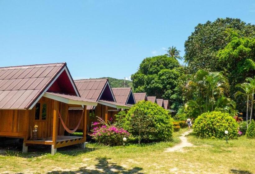 בקתה דלוקס, Colorful Hut