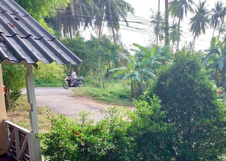 בקתה סטנדרטית, Colorful Hut