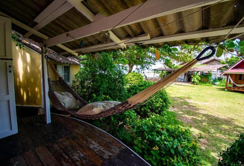 חדר אקונומי, Colorful Hut