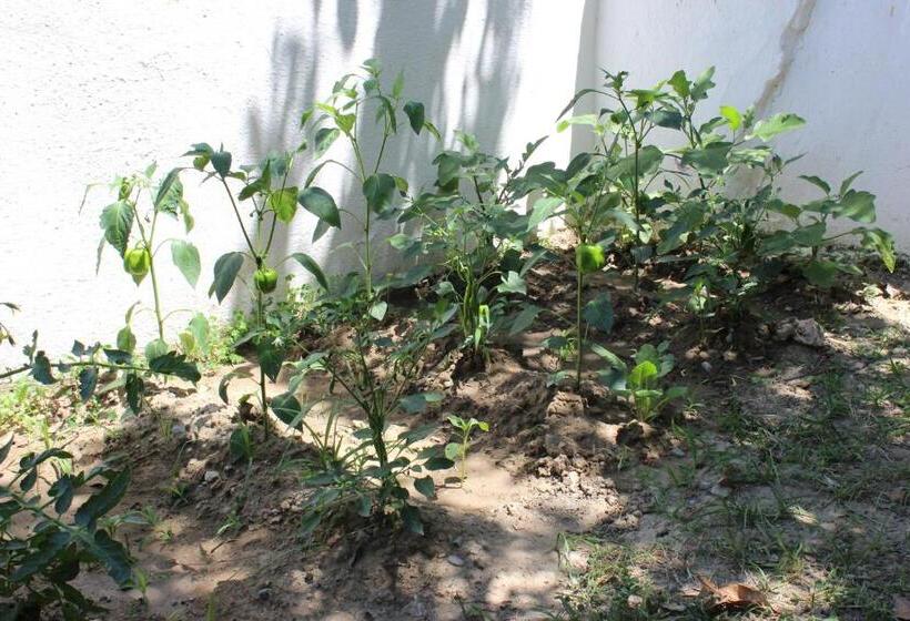 이코노미 트리플 룸, Summer Life Villa Apart