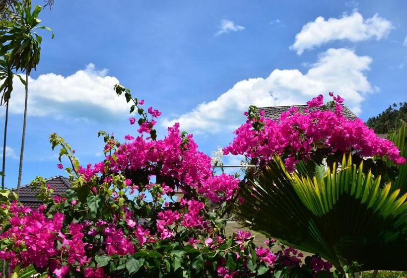 스탠다드 룸 풀장 전망, Angelot Villa