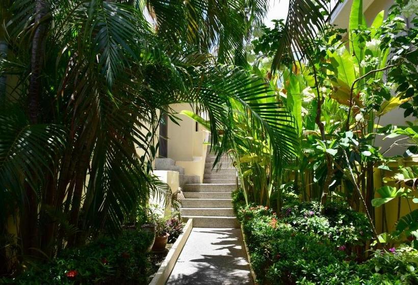 스탠다드 방갈로, Angelot Villa