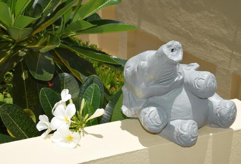 스탠다드 방갈로 정원 전망, Angelot Villa