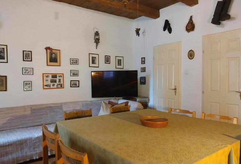 ２ベッドルームアパートメント, Bike Stop Duna