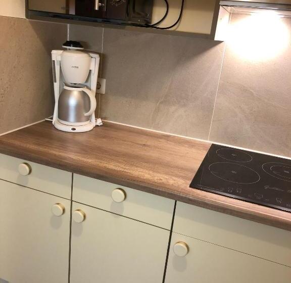 バルコニー付きスタンダードステューディオ, Gästehaus Baldauf