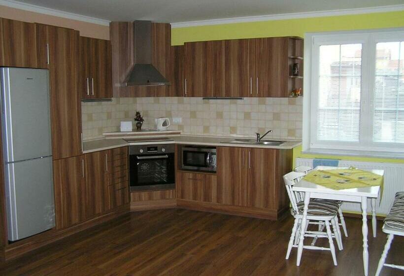 침실 1개 테라스 아파트, U Fousáče