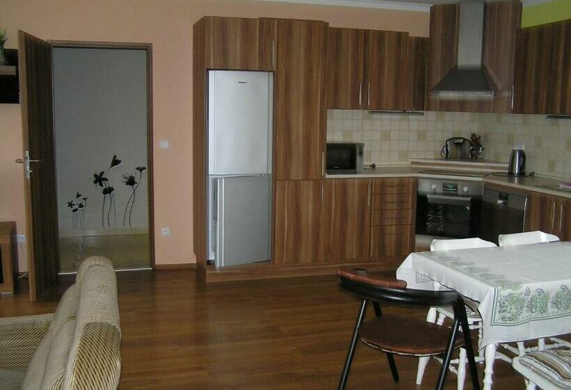 침실 1개 테라스 아파트, U Fousáče