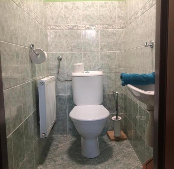 침실 1개 테라스 아파트, U Fousáče