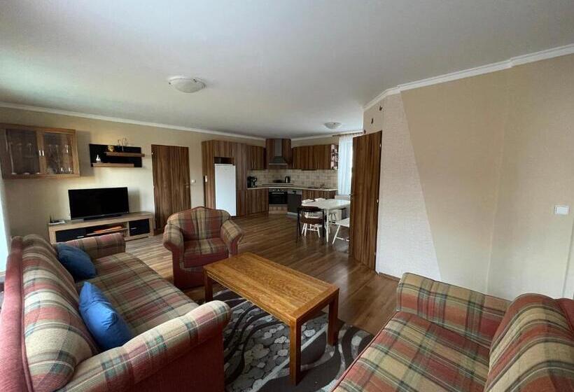 침실 1개 테라스 아파트, U Fousáče