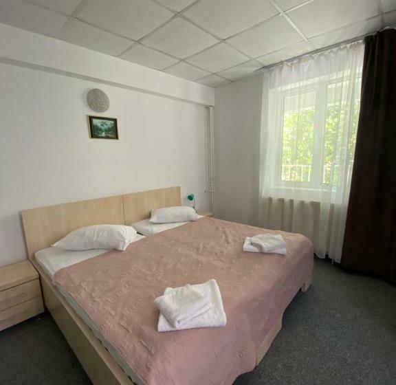 اتاق استاندارد, Pensiunea Ambasador