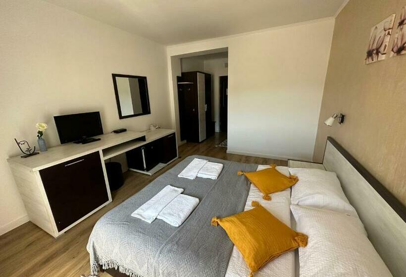 Номер Стандарт с Балконом, Pensiunea Grande Lepsa