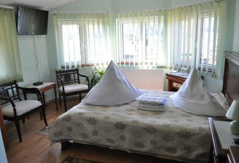 غرفة قياسية, Pensiunea Orhideea