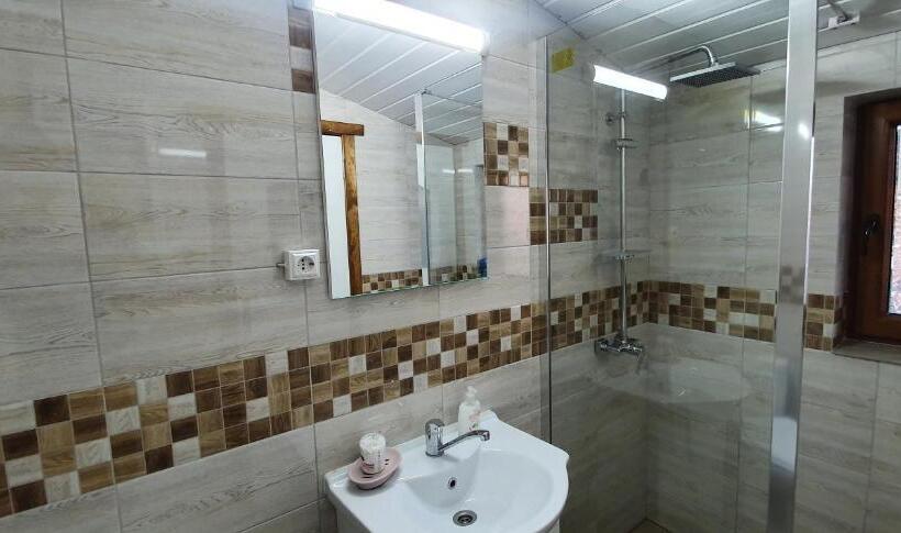 غرفة قياسية ثلاثية, Pensiunea Orhideea