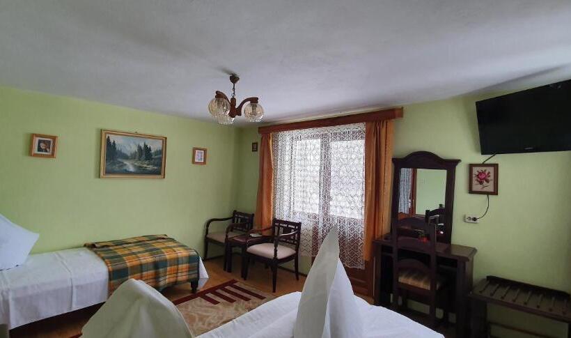 غرفة قياسية ثلاثية, Pensiunea Orhideea