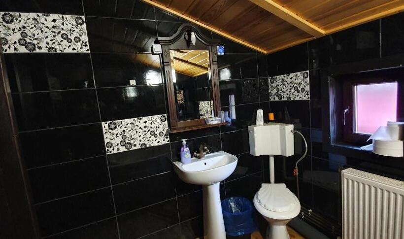 جناح مزود بتراس, Pensiunea Orhideea