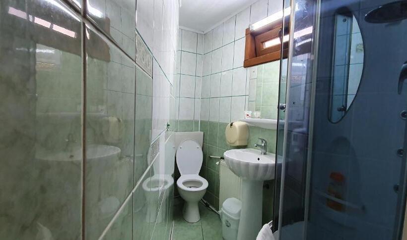 غرفة قياسية ثلاثية, Pensiunea Orhideea