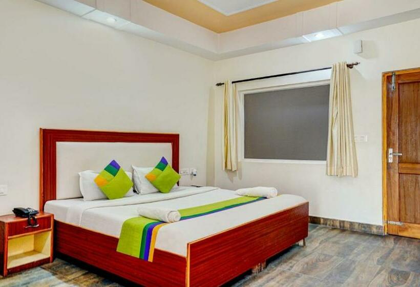 豪华房间, The Lily