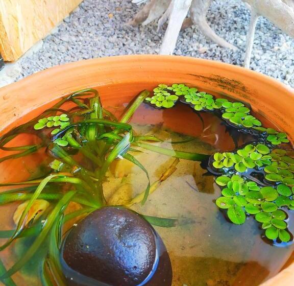 デラックストリプルルーム, Nomads Village, Macapa