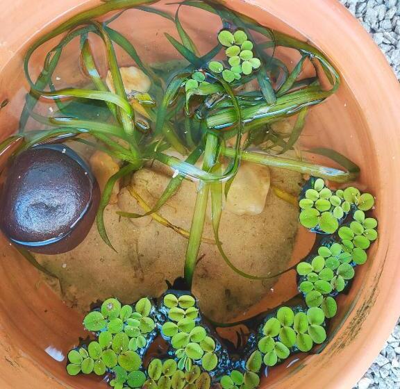 デラックストリプルルーム, Nomads Village, Macapa