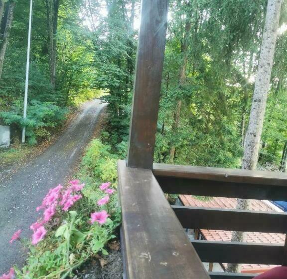 חדר סטנדרט יחיד, Thor și Cora