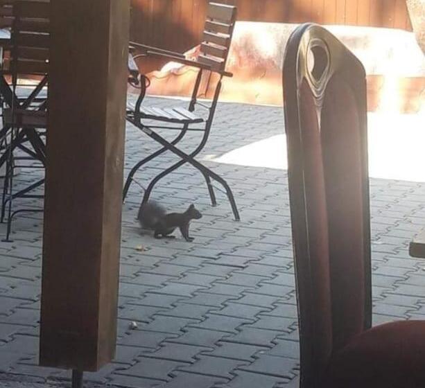 בית, חדר שינה 1, Thor și Cora