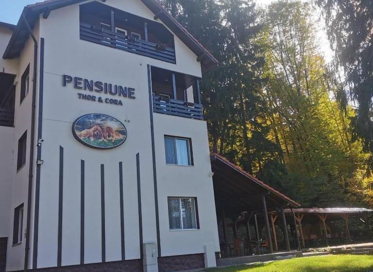 בית, חדר שינה 1, Thor și Cora