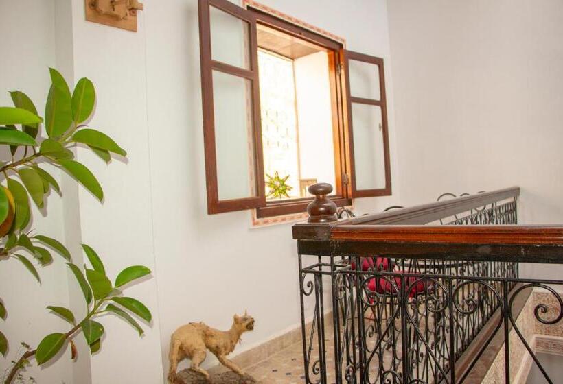 اتاق لوکس, Riad Dar Senhaji