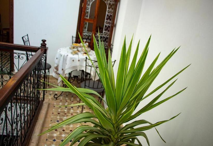 家庭套房, Riad Dar Senhaji