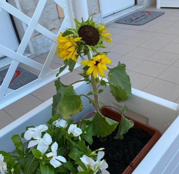 Номер Deluxe, Love Inn