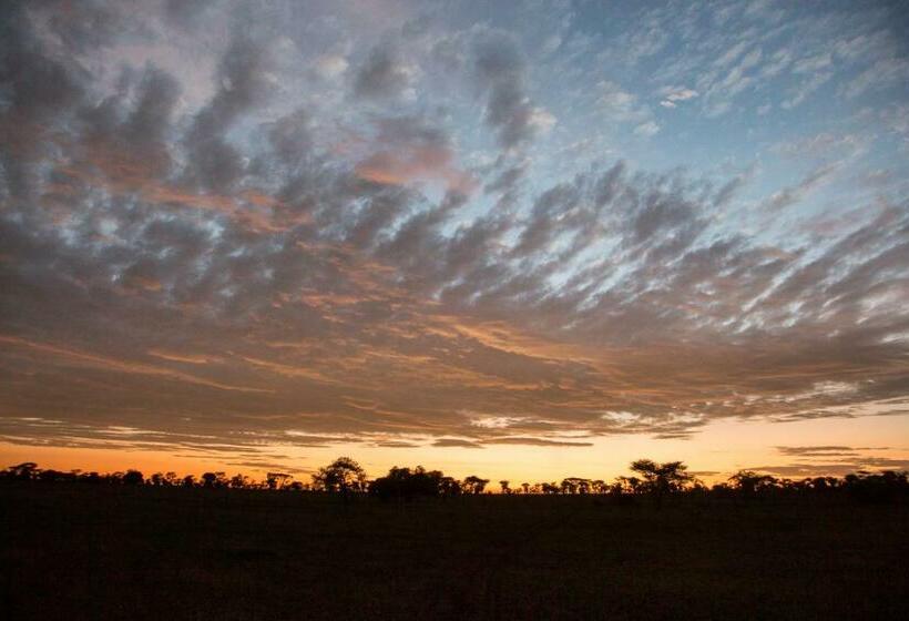 غرفة قياسية, Four Seasons Safari Lodge Serengeti