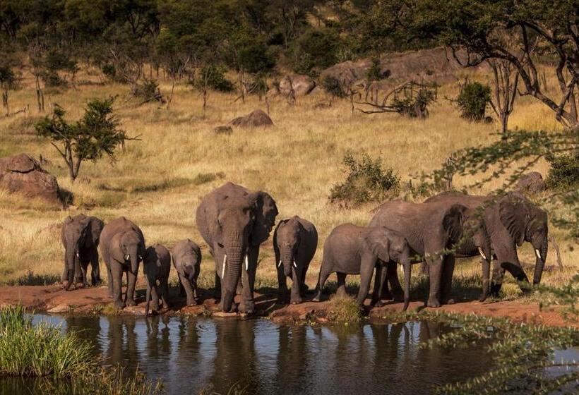 جناح سرير كينج, Four Seasons Safari Lodge Serengeti