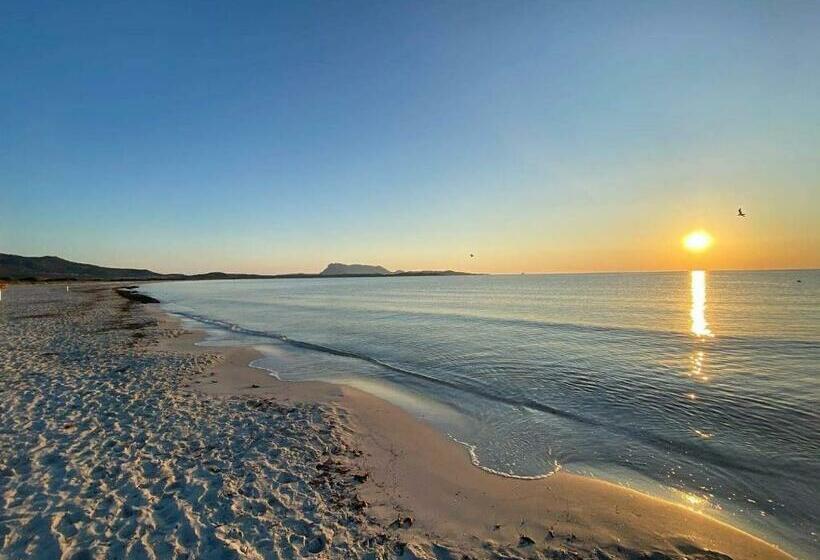 سوییت با چشمانداز دریا, B&b Florian