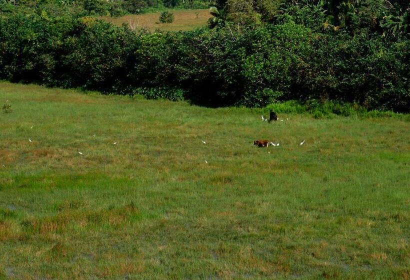 Номер Deluxe с Балконом, Green Edge Villa