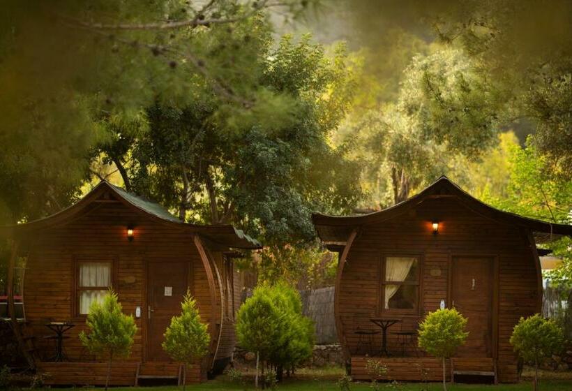 بانگلوی لوکس, Green Pine Bungalows & Beach Luxury Concept