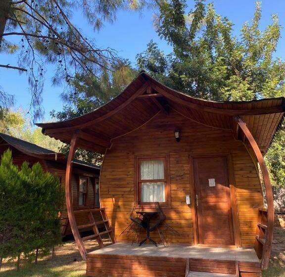 بانگلوی لوکس, Green Pine Bungalows & Beach Luxury Concept