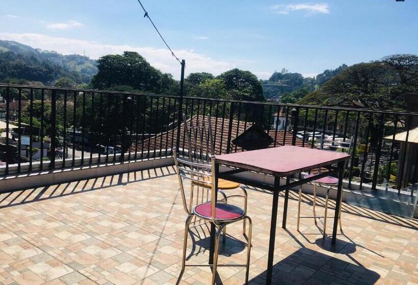 이코노미 룸, View City Point