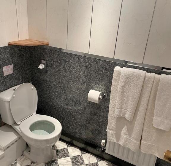 חדר סטנדרט מותאם לאדם עם מוגבלויות, Bron Menai Guest House