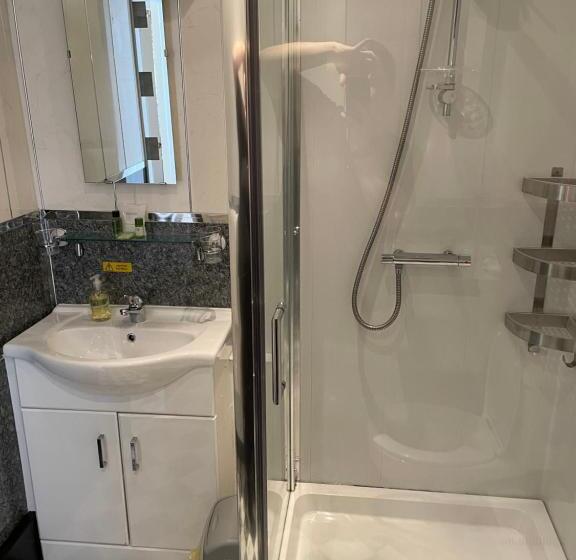 חדר סטנדרט מותאם לאדם עם מוגבלויות, Bron Menai Guest House