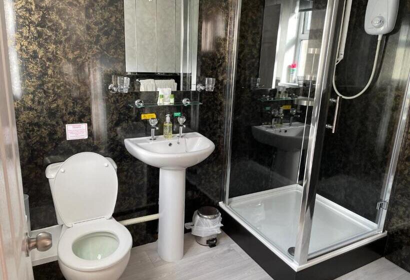 חדר סופריור, Bron Menai Guest House