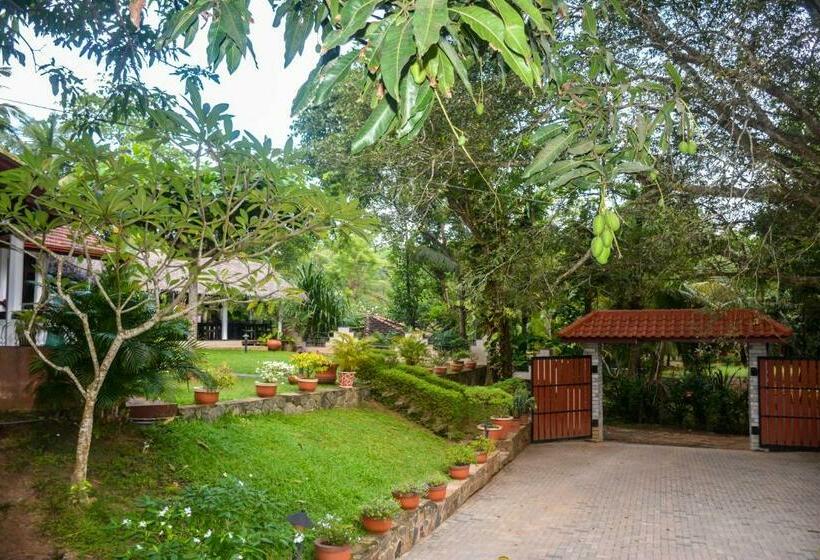 带阳台的豪华间, Goyambokka Guesthouse