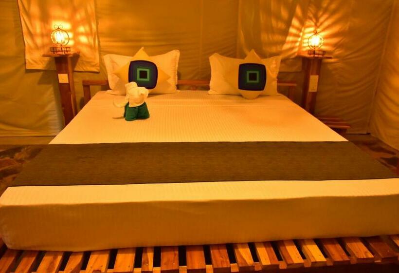 اتاق استاندارد, Jungle View River Camping