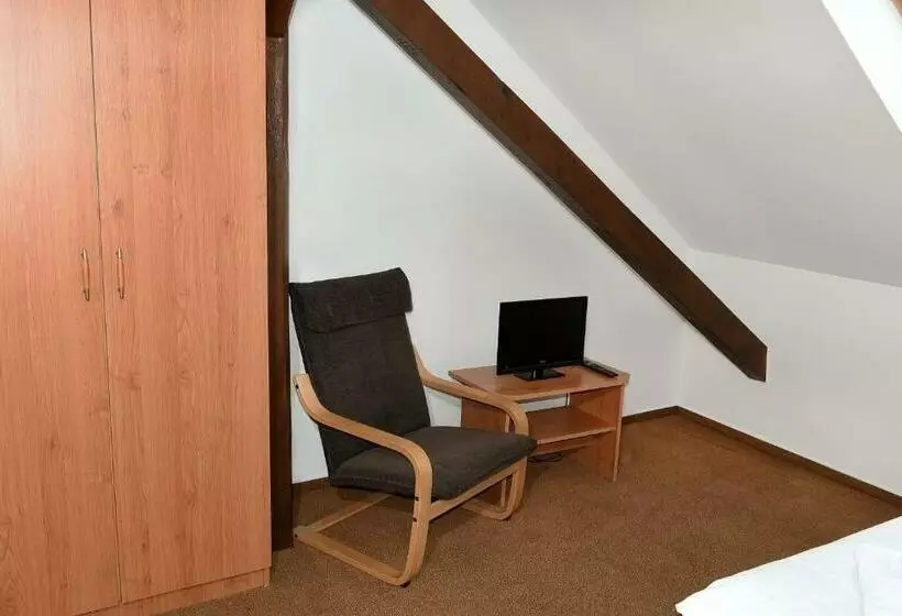 スタンダードシングルルーム, Bílý Koníček