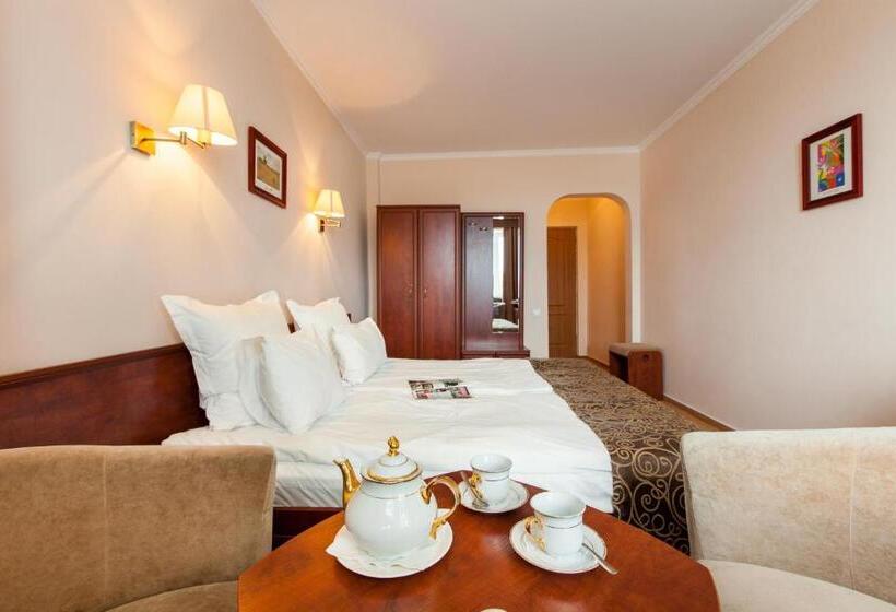 غرفة قياسية, Conference Hotel Suputnyk