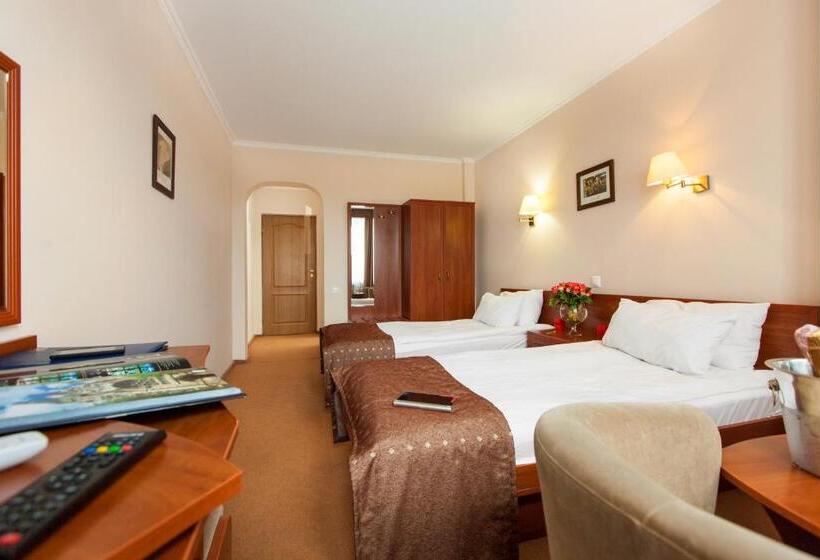 غرفة قياسية, Conference Hotel Suputnyk