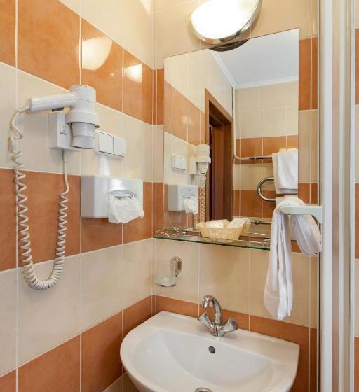 غرفة بيزنس, Conference Hotel Suputnyk