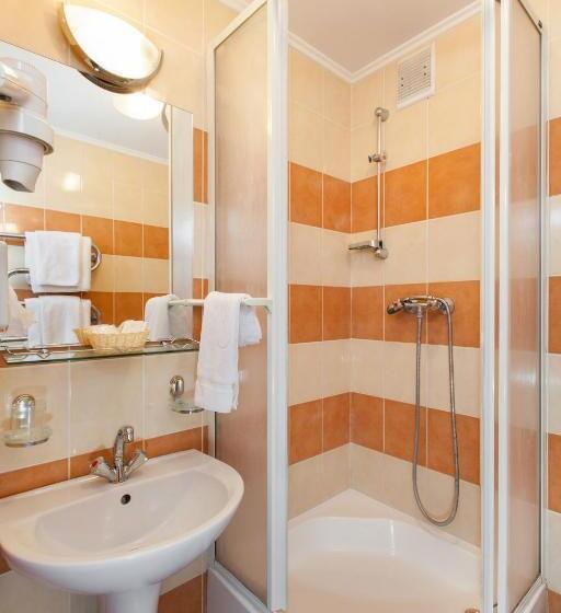 غرفة بيزنس, Conference Hotel Suputnyk