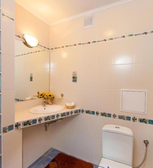 شقة غرفة واحدة, Conference Hotel Suputnyk