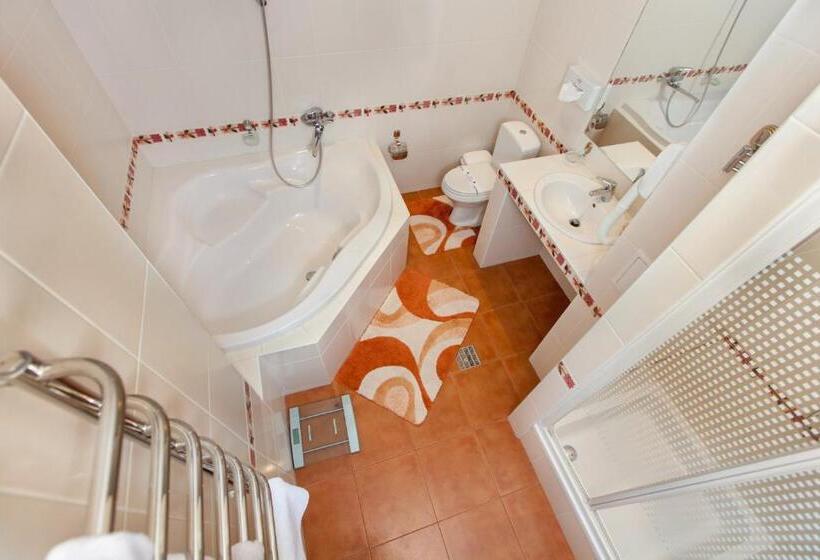 شقة غرفة واحدة, Conference Hotel Suputnyk