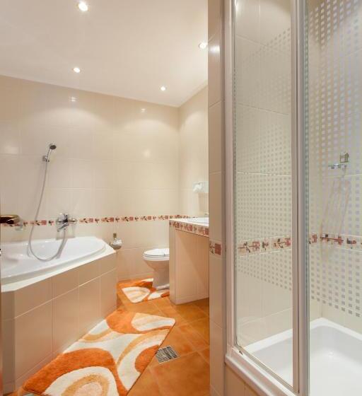 شقة غرفة واحدة, Conference Hotel Suputnyk